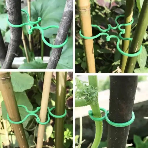 GardenGrip®🌱Paga 10 lleva 25💥¡Da a tus Plantas la Fuerza que Necesitan!😉Soporte para plantas🌵