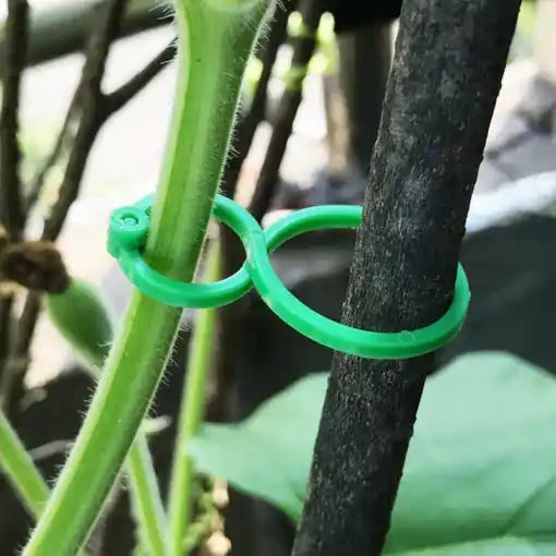 GardenGrip®🌱Paga 10 lleva 25💥¡Da a tus Plantas la Fuerza que Necesitan!😉Soporte para plantas🌵