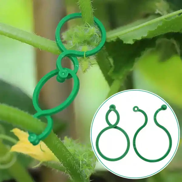 GardenGrip®🌱Paga 10 lleva 25💥¡Da a tus Plantas la Fuerza que Necesitan!😉Soporte para plantas🌵