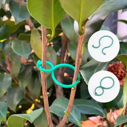 GardenGrip®🌱Paga 10 lleva 25💥¡Da a tus Plantas la Fuerza que Necesitan!😉Soporte para plantas🌵