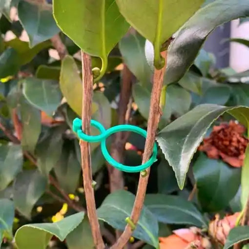 GardenGrip®🌱Paga 10 lleva 25💥¡Da a tus Plantas la Fuerza que Necesitan!😉Soporte para plantas🌵