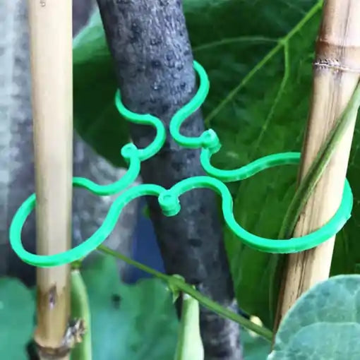 GardenGrip®🌱Paga 10 lleva 25💥¡Da a tus Plantas la Fuerza que Necesitan!😉Soporte para plantas🌵