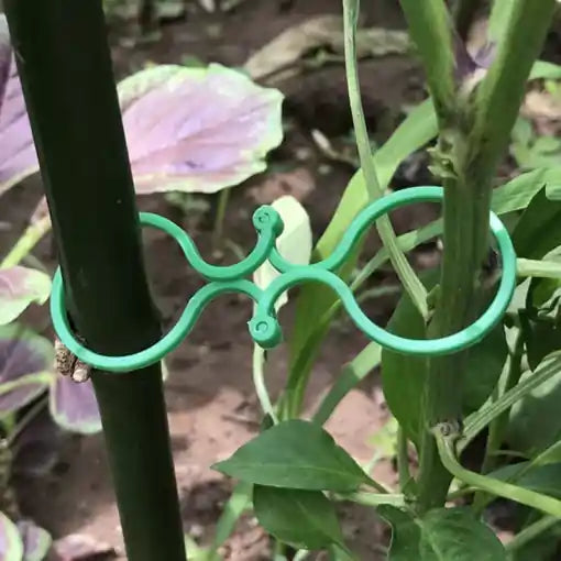 GardenGrip®🌱Paga 10 lleva 25💥¡Da a tus Plantas la Fuerza que Necesitan!😉Soporte para plantas🌵