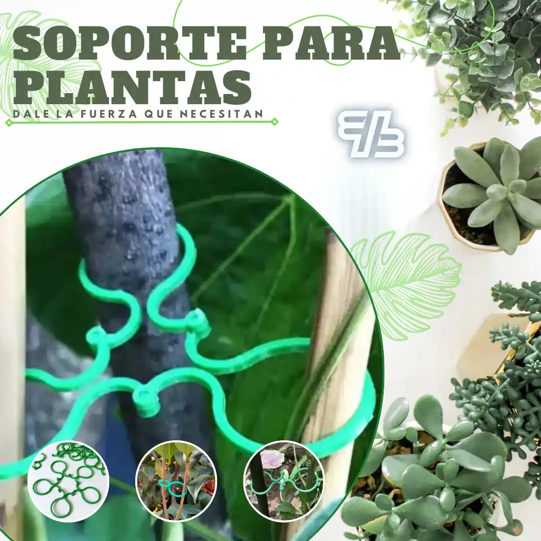GardenGrip®🌱Paga 10 lleva 25💥¡Da a tus Plantas la Fuerza que Necesitan!😉Soporte para plantas🌵